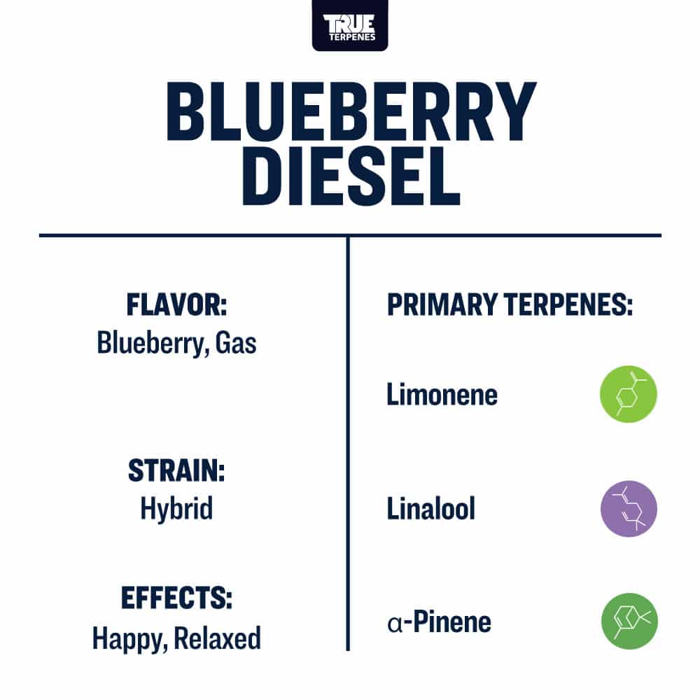 Blueberry Diesel - Live Alchemy - Buy Terpenes UK