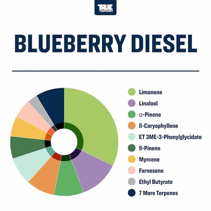 Blueberry Diesel - Live Alchemy - Buy Terpenes UK