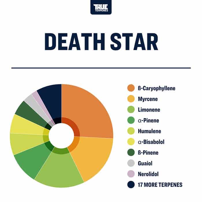 Death Star - Live Alchemy - Buy Terpenes UK