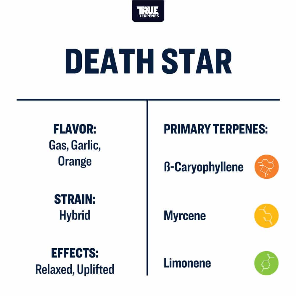 Death Star - Live Alchemy - Buy Terpenes UK