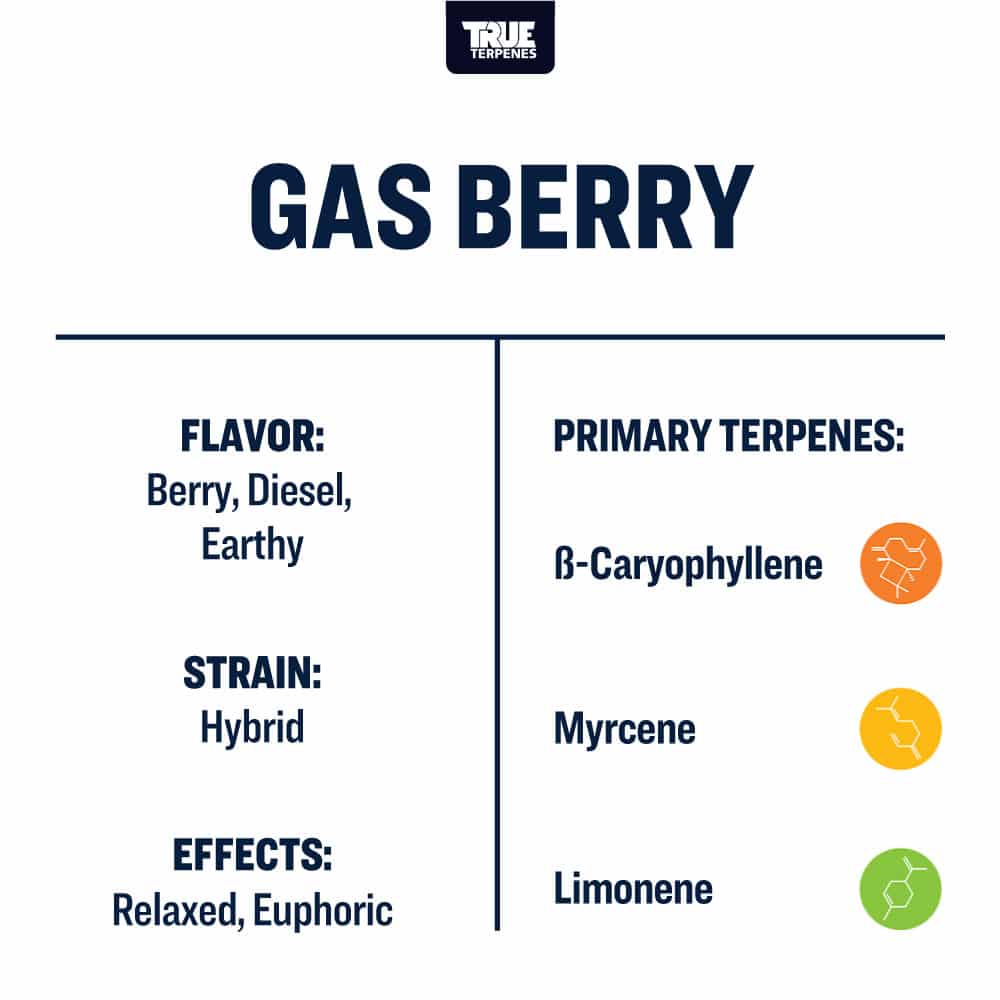 Gas Berry - Live Alchemy - Buy Terpenes UK