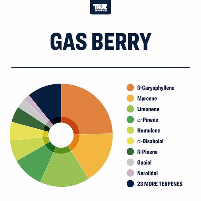 Gas Berry - Live Alchemy - Buy Terpenes UK