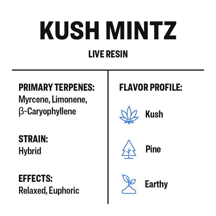 Kush Mintz - Live Resin - Buy Terpenes UK