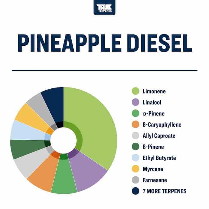 Pineapple Diesel - Live Alchemy - Buy Terpenes UK