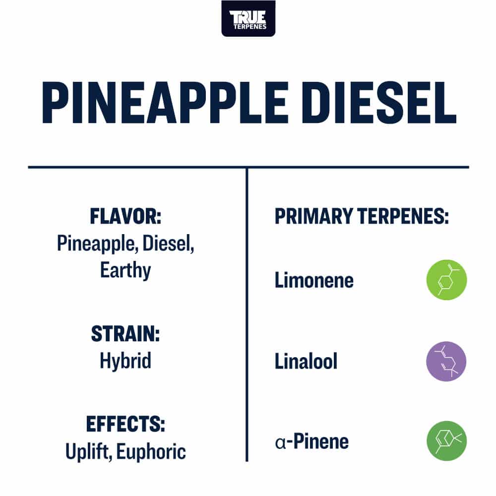 Pineapple Diesel - Live Alchemy - Buy Terpenes UK