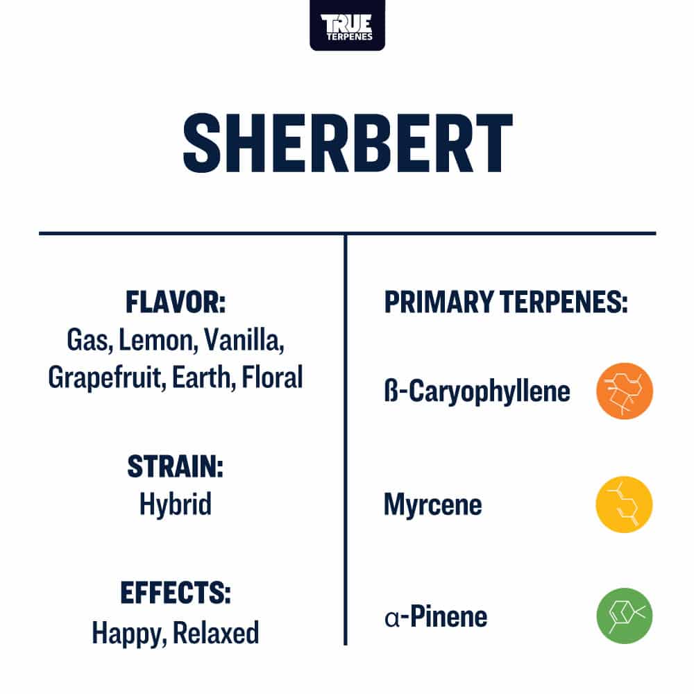 Sherbert - Live Alchemy - Buy Terpenes UK