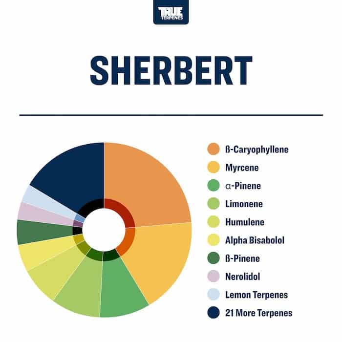 Sherbert - Live Alchemy - Buy Terpenes UK